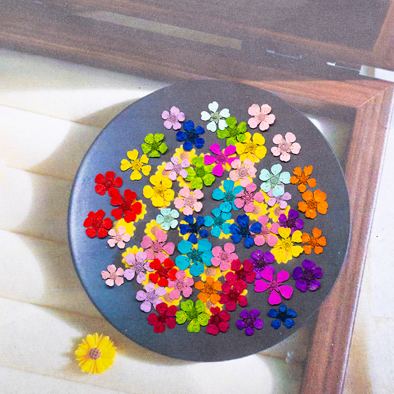 96Pcs Mini 1.5cm Natural Press - Resin Art Frame ulasan dan harga
