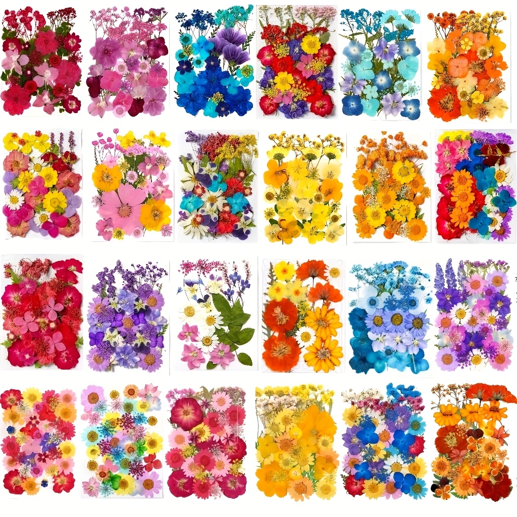 500pcs of Random Materials for - Resin Art Frame ulasan dan harga