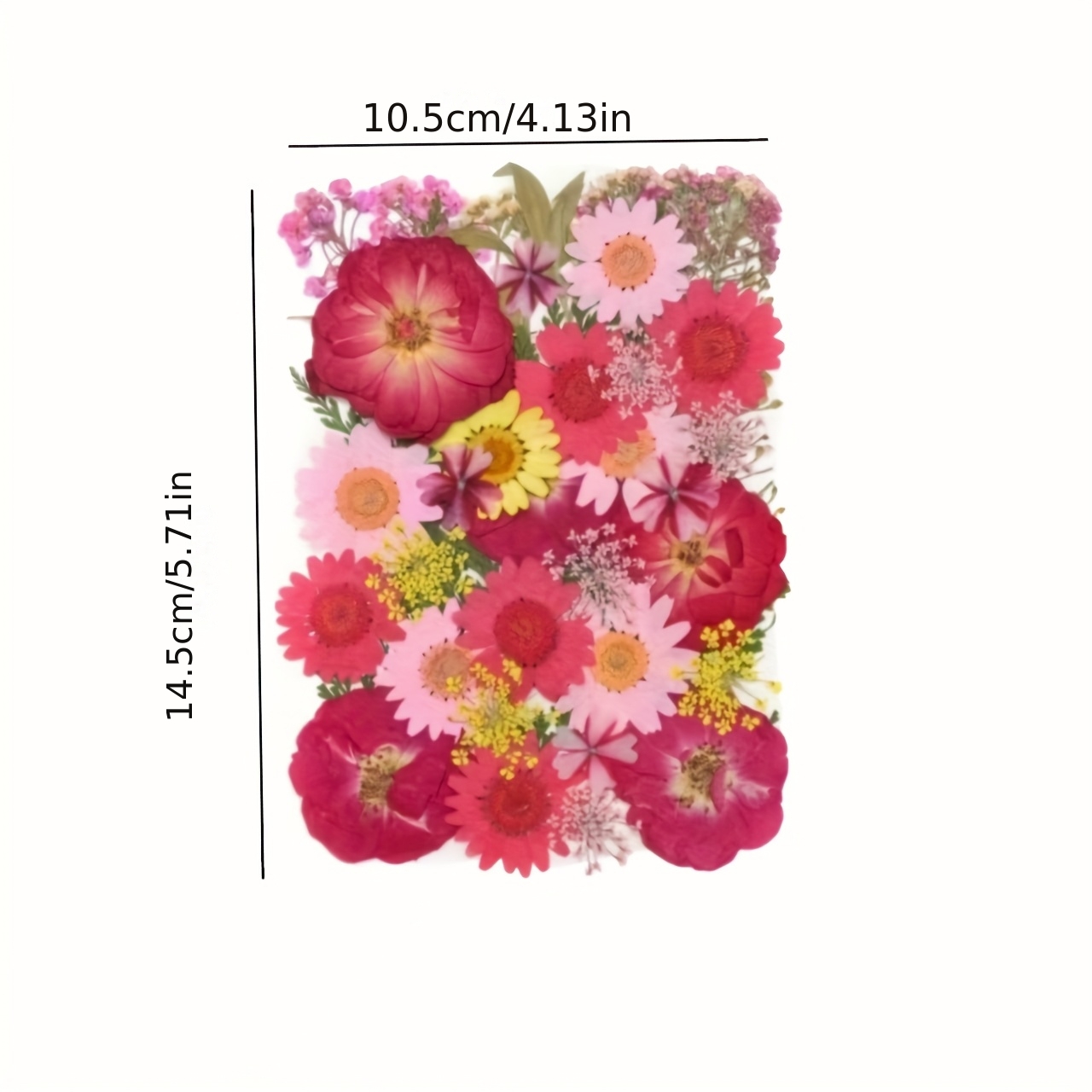 500pcs of Random Materials for - Resin Art Frame ulasan dan harga