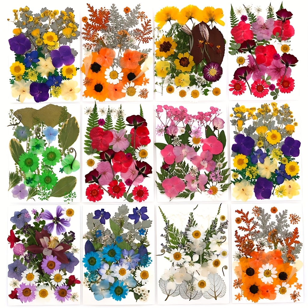 500pcs of Random Materials for - Resin Art Frame ulasan dan harga