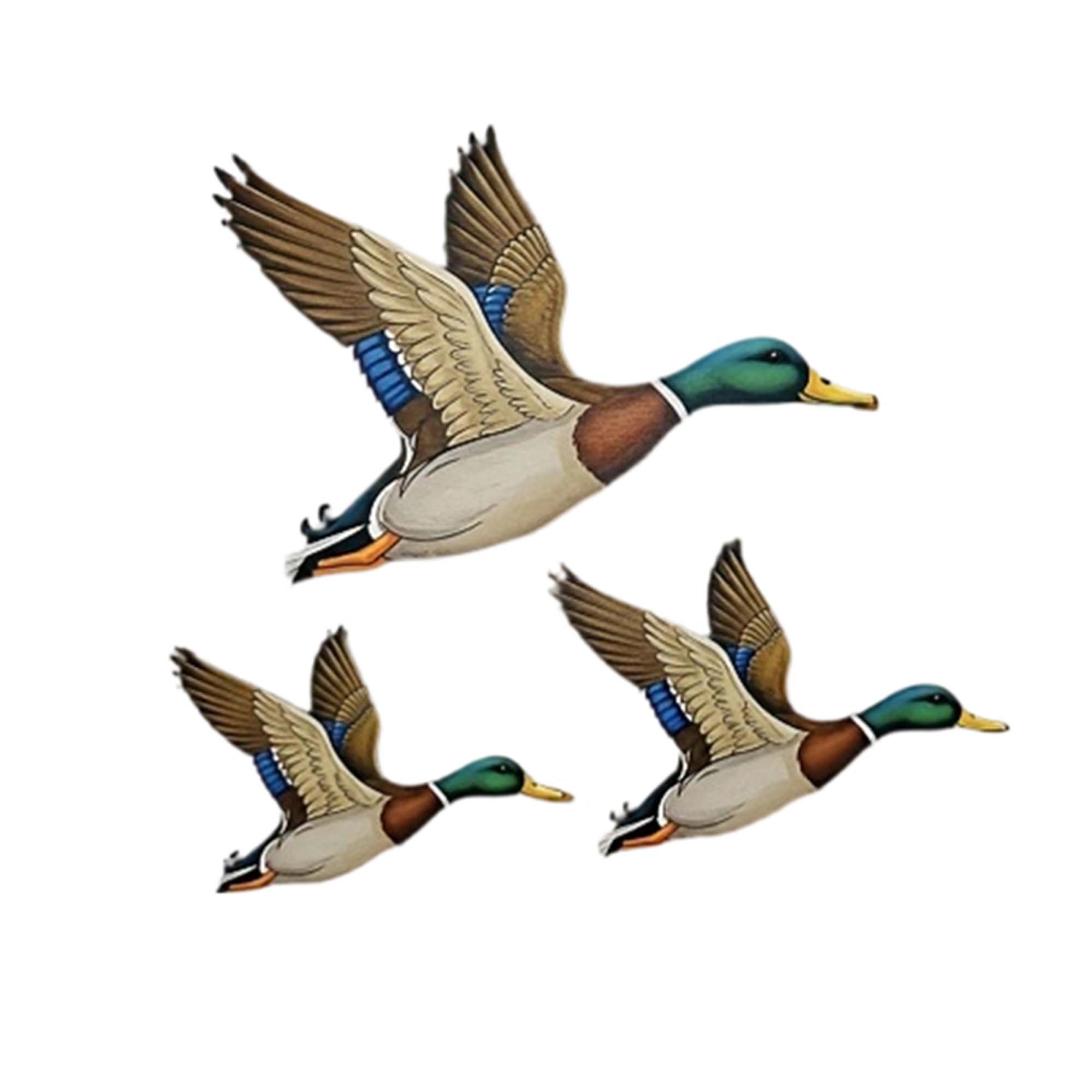 3Pcs Wild Duck Wall Arts Uniqu - Resin Art With Wood ulasan dan harga
