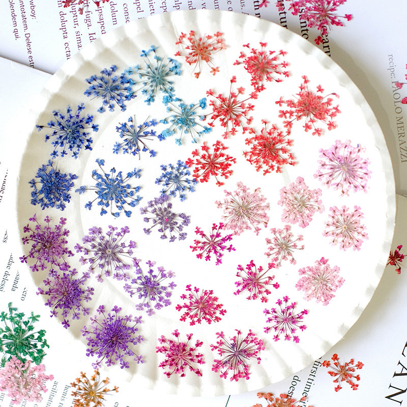 24pcs,2-2.5cm,nature Dyed Mini - Resin Art Frame ulasan dan harga