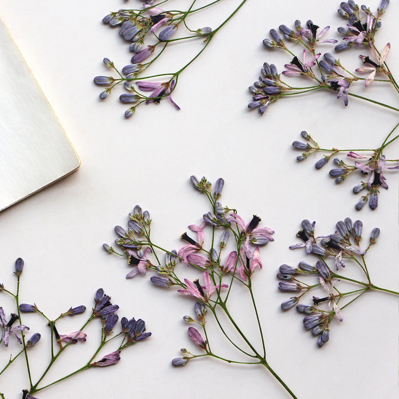 60Pcs Neem Tree Flower Branche - Resin Art Bookmark ulasan dan harga